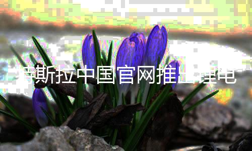 特斯拉中国官网推出锂电池回收服务,报废100%回收利用