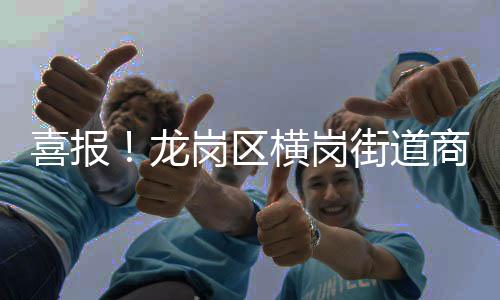 喜报!龙岗区横岗街道商会获评广东省工商联系统“四好”商会